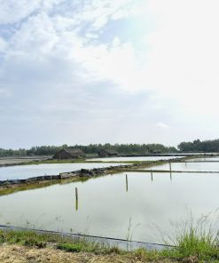 🔥 NÓNG 🌅 BÁN ĐẤT MUỐI 2.000M² - VỊ TRÍ ĐẮC ĐỊA TẠI LÝ NHƠN, CẦN GIỜ 🌅