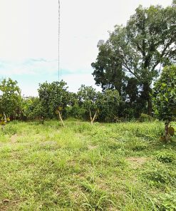 🌎ĐẤT SẴN NHÀ 💥- Tiềm năng cao - Đồng Nai🔥