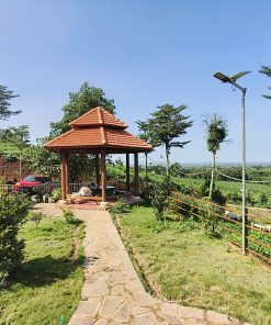 ⭐ SIÊU PHẨM🌳 BÁN NHANH ĐẤT NHÀ VƯỜN ĐỒNG NAI - CHỈ 7,5 TỶ! 🌳