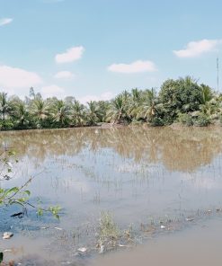 🌷Mảnh đất vàng tại Long An📍, đầu tư sinh lời cao - nhanh tay kẻo hết🔥