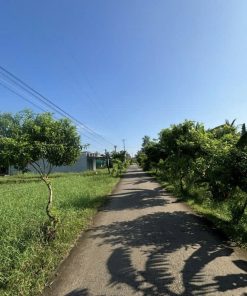 📍MẢNH ĐẤT VÀNG TẠI BẾN TRE -⚡️ TIỀM NĂNG - CƠ HỘI ĐẦU TƯ SINH LỜI CAO☘️