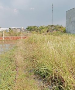 ☘️GIÁ SIÊU HỜI ĐỂ SỞ HỮU MỘT MẢNH ĐẤT VÀNG TẠI LONG AN -🌷 BẠN ĐÃ BIẾT CHƯA?🌸