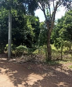 🌳Cơ hội sở hữu 2 mảnh đất vàng tại Đồng Nai, giá sốc💥 - dễ sinh lời💵