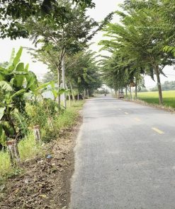 🌳Cơ hội sở hữu ngay mảnh đất vàng, tiềm năng tại Cần Đước, Long An 🌸- sổ hồng chính chủ, sang tên nhanh⚡️💥