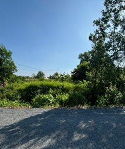 🏞️ Đất Trống Trà Vinh🌍 – Không Gian Xanh 🌿 Tươi Mới, Đầu Tư Sinh Lời💹