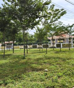 🔥 Cơ hội sở hữu đất nền vị trí đẹp tại Bàu Bàng, Bình Dương! 🔥