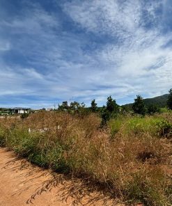 CƠ HỘI ĐẦU TƯ - ĐẤT VIEW ĐẸP TẠI NAM HÀ, LÂM HÀ, LÂM ĐỒNG