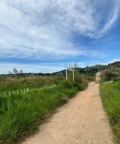 🏡 ĐẤT ĐẸP GIÁ TỐT TẠI ĐÔNG THANH, LÂM HÀ, LÂM ĐỒNG