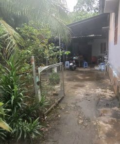 💥Cơ hội sở hữu ngay 2 bất động sản tại Bến Tre ☘️- Giá cực tốt 💵- Nhanh tay nào⚡️