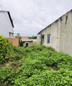 🏞️ Đất view đẹp cần bán gấp🔥tại Lâm Đồng💡giá siêu hời💲