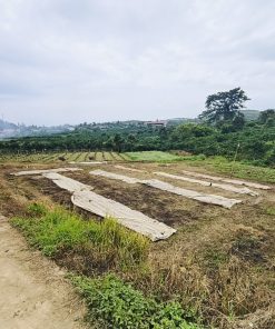 🌟CHÍNH CHỦ BÁN ĐẤT ĐẸP NGANG 41M, VỊ TRÍ ĐẮC ĐỊA TẠI ĐỨC TRỌNG, LÂM ĐỒNG 🌟