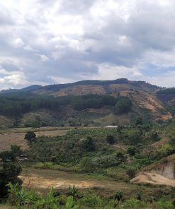 ☘️CHÍNH CHỦ CẦN BÁN GẤP ĐẤT TẠI LÂM ĐỒNG ☘️- GIÁ CHỈ 8,4 TỶ💵