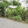 🌴BÁN ĐẤT TRỒNG CÂY LÂU NĂM 180,2m² 🌱- GIÁ HỜI - VỊ TRÍ LÝ TƯỞNG🌷