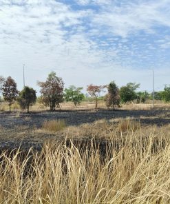 ☘️CHÍNH CHỦ CẦN BÁN 3 BẤT ĐỘNG SẢN TẠI LONG AN - 🌹GIÁ CỰC TỐT💵 - ĐẦU TƯ NGAY NÀO⚡️