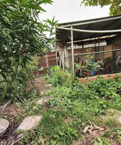 🔥Hot🔥Cơ Hội Sở Hữu 🏡 Cấp 4 Tại Huyện Cần Giuộc, Long An – 💸 Siêu Rẻ, Đừng Bỏ Lỡ! 🤝