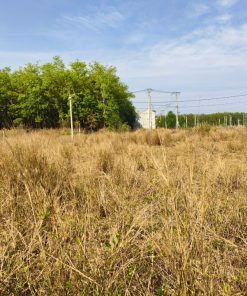 Bán đất thổ cư tại Bàu Bàng chỉ với 2.6 tỷ 💸 có ngay 80m2 đất đầy tiện ích 🏙️