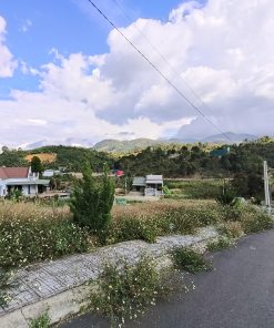 ✅ CHÍNH CHỦ BÁN 2 LÔ ĐẤT MẶT TIỀN FULL THỔ CƯ – BẢO LÂM, LÂM ĐỒNG