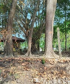 BÁN ĐẤT 4500M2 TẶNG NHÀ CẤP 4 TẠI PHÚ GIÁO, BÌNH DƯƠNG — GIÁ CHỈ 6,2 TỶ