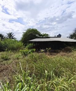 BÁN ĐẤT MẶT TIỀN 425M2 - BÌNH ĐẠI, BẾN TRE - GIÁ CHỈ 4,3 TỶ 💸