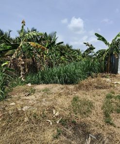 🌴Bán Nhanh Đất 471,9m², Tiện Ích Đầy Đủ , Cách TP Mỹ Tho 6km🌴