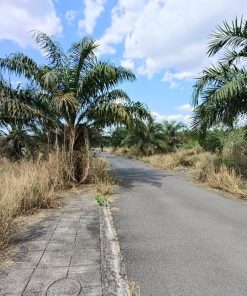 ☘️Bán Đất Thổ Cư Tại Trảng Bom, Đồng Nai – Diện Tích 120m², Sổ Hồng Chính Chủ, Giá Chỉ 3 tỷ☘️