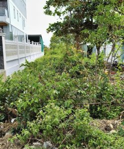 🍀Bán Đất Mặt Tiền 279m² tại Cần Giờ, TP.HCM – Tiềm Năng Kinh Doanh, Giá Chỉ 3,6 Tỷ🍀