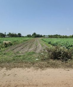 🍀Bán đất nông nghiệp tại Dương Minh Châu, Tây Ninh – tổng dt 9116m², giá chỉ 3 tỷ, gần KCN🍀