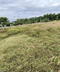 🎉 Đất rộng thổ cư vuông vức 100m2 - tại Bàu Bàng bán gấp 🏞️