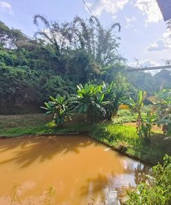 Bán gấp đất 🗾 10115 m2 gần quốc lộ ở Đồng Nai ,Định Quán giá siêu rẻ ✨