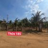 🌴 CƠ HỘI SỞ HỮU ĐẤT VƯỜN ĐẸP TẠI BÌNH THUẬN – SẴN THU NHẬP 🔥