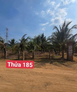 🌴 CƠ HỘI SỞ HỮU ĐẤT VƯỜN ĐẸP TẠI BÌNH THUẬN – SẴN THU NHẬP 🔥