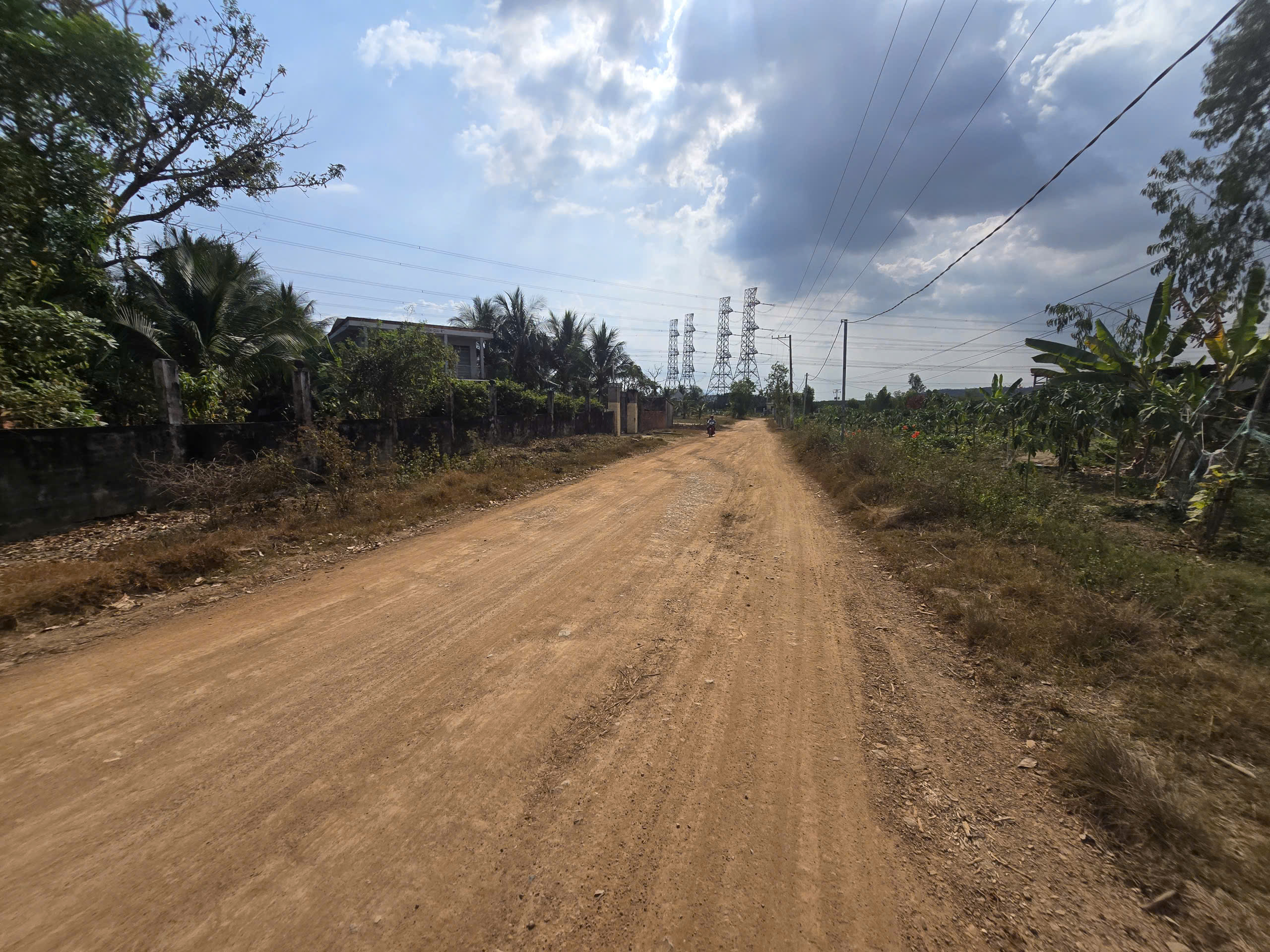 4340419822793299152 (28)