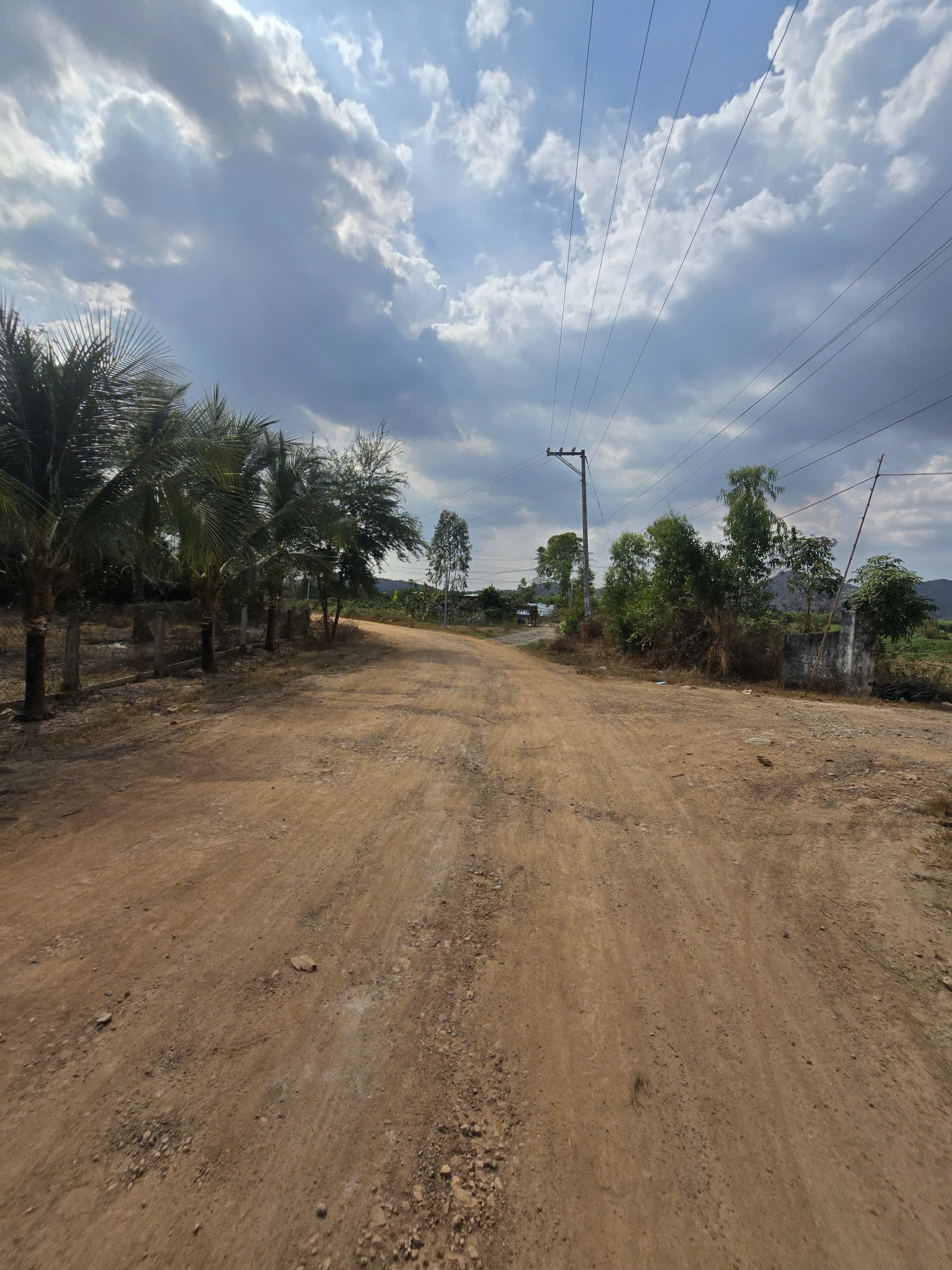 4340419822793299152 (29)