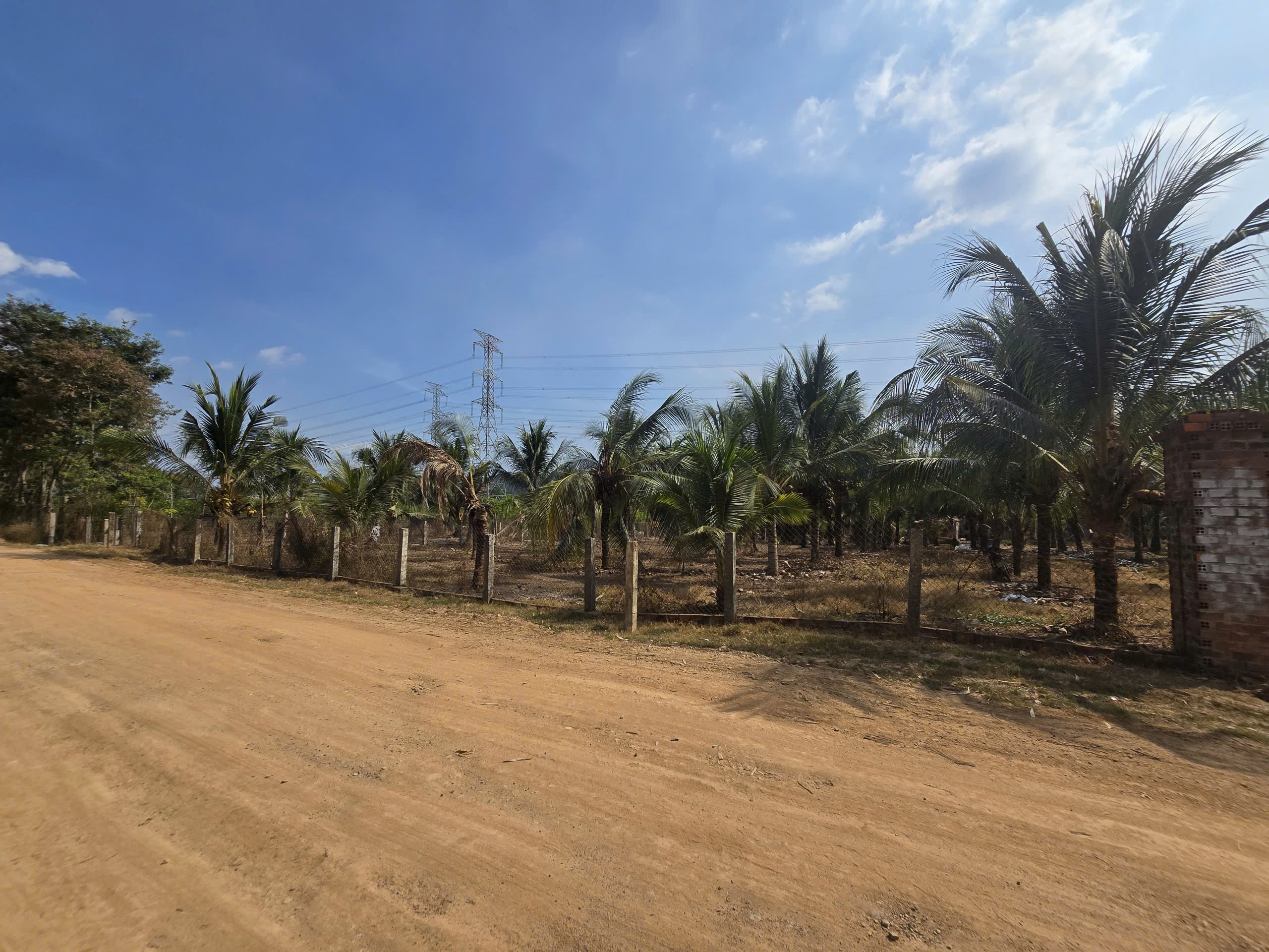 4340419822793299152 (30)