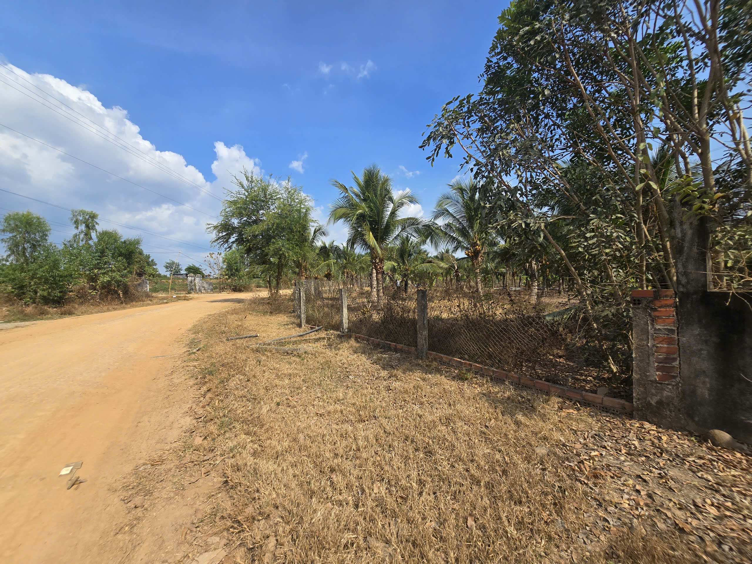 4340419822793299152 (31)