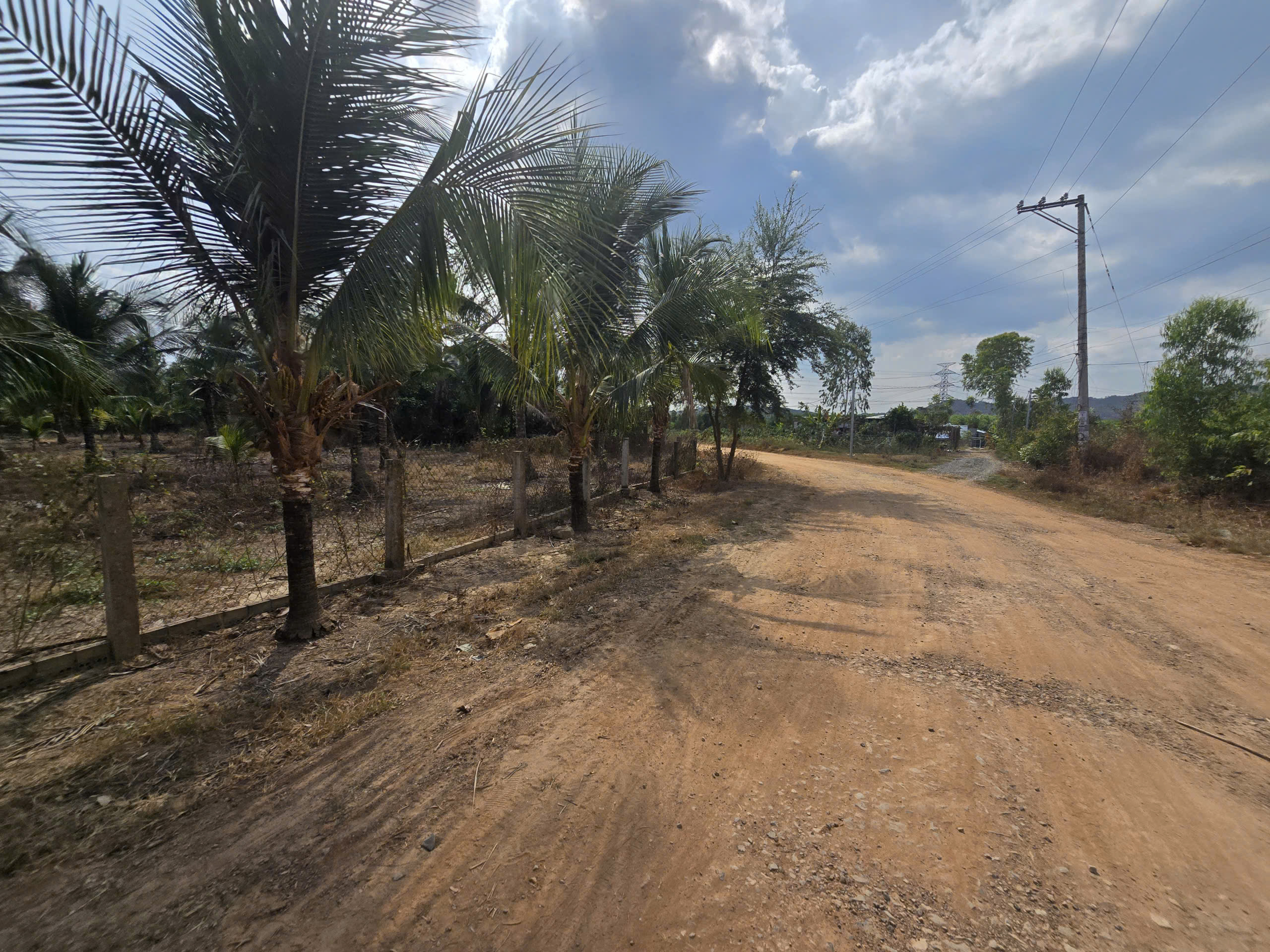 4340419822793299152 (33)