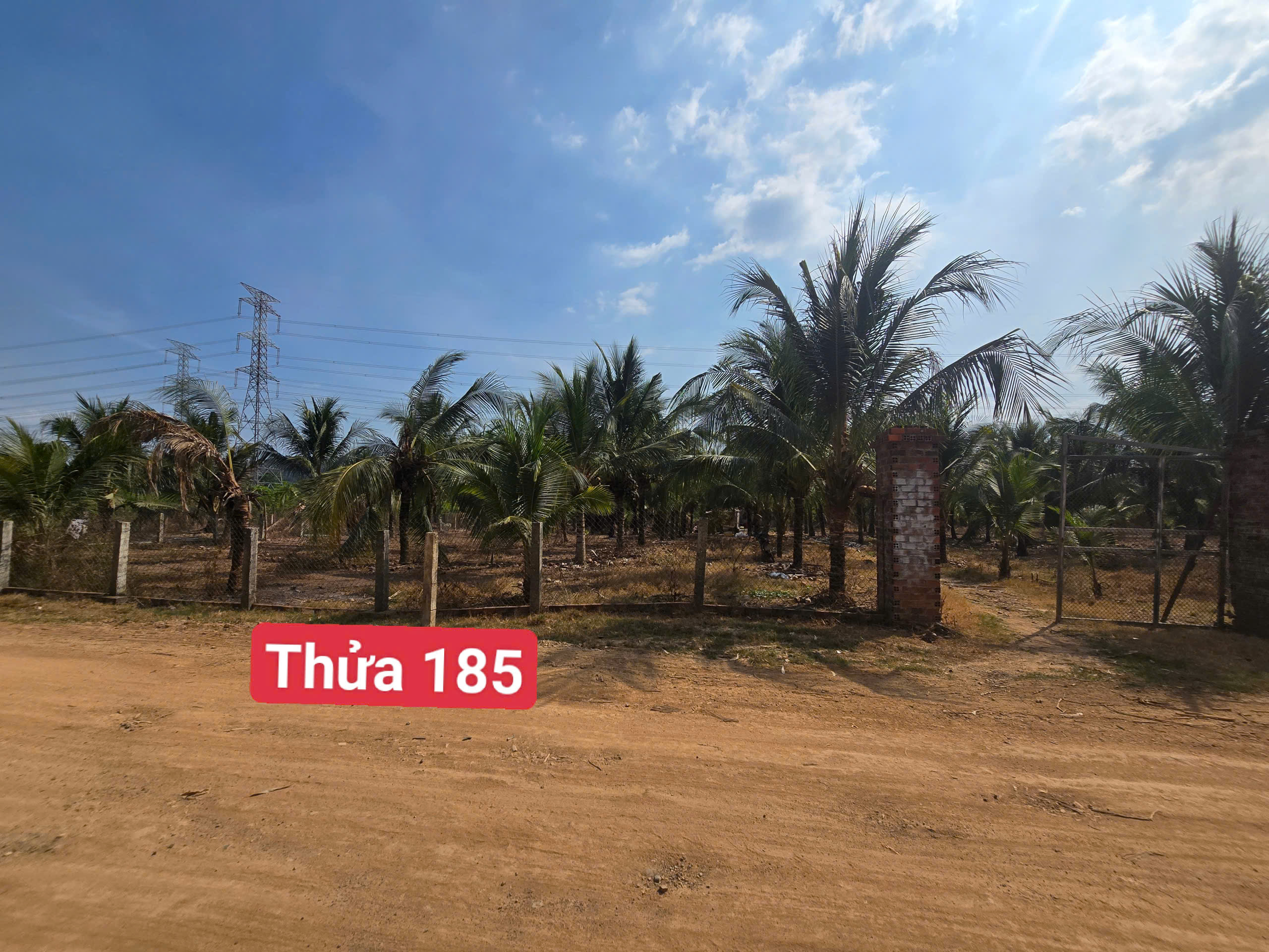 8365260c4ae4c4ba9df5 (2)