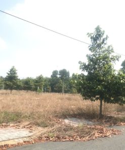 🔥 LÔ ĐẤT 2 MẶT TIỀN – GIÁ CHỈ 2.2 TỶ, ĐÁNG MUA NHẤT KHU LAI HƯNG 🔥